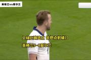 开云体育在线-爱尔兰队在欧预赛中实现出色表现