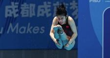 开云体育入口-跳水盛宴：中国选手包揽跳水项目