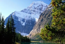 开云APP-泰国队轻取丹麦队，安赛龙惊艳四座