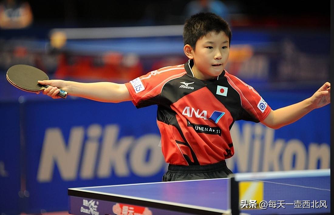 包含波兰乒乓球队险胜瑞典乒乓球队，张本智和关键制胜的词条