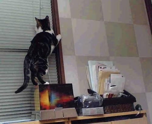 詹姆斯爆发助火箭轻取浙江队，一波流攻势彰显实力