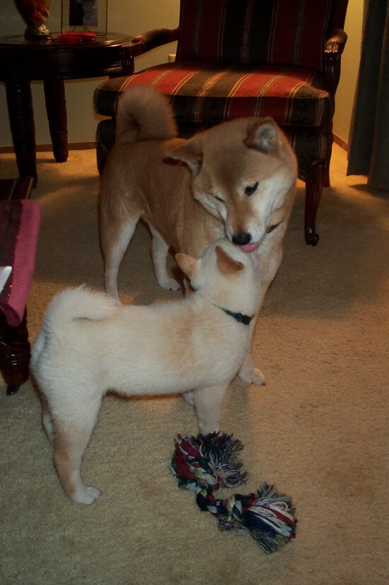 毕尔巴鄂一剑封喉!维尼修斯终场绝杀智利