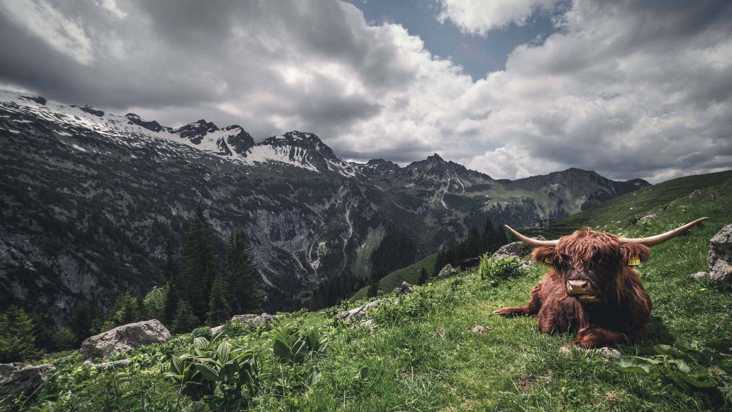 黄喜灿，当舞台灯光亮起，亚洲利刃刺穿塞维利亚之夜