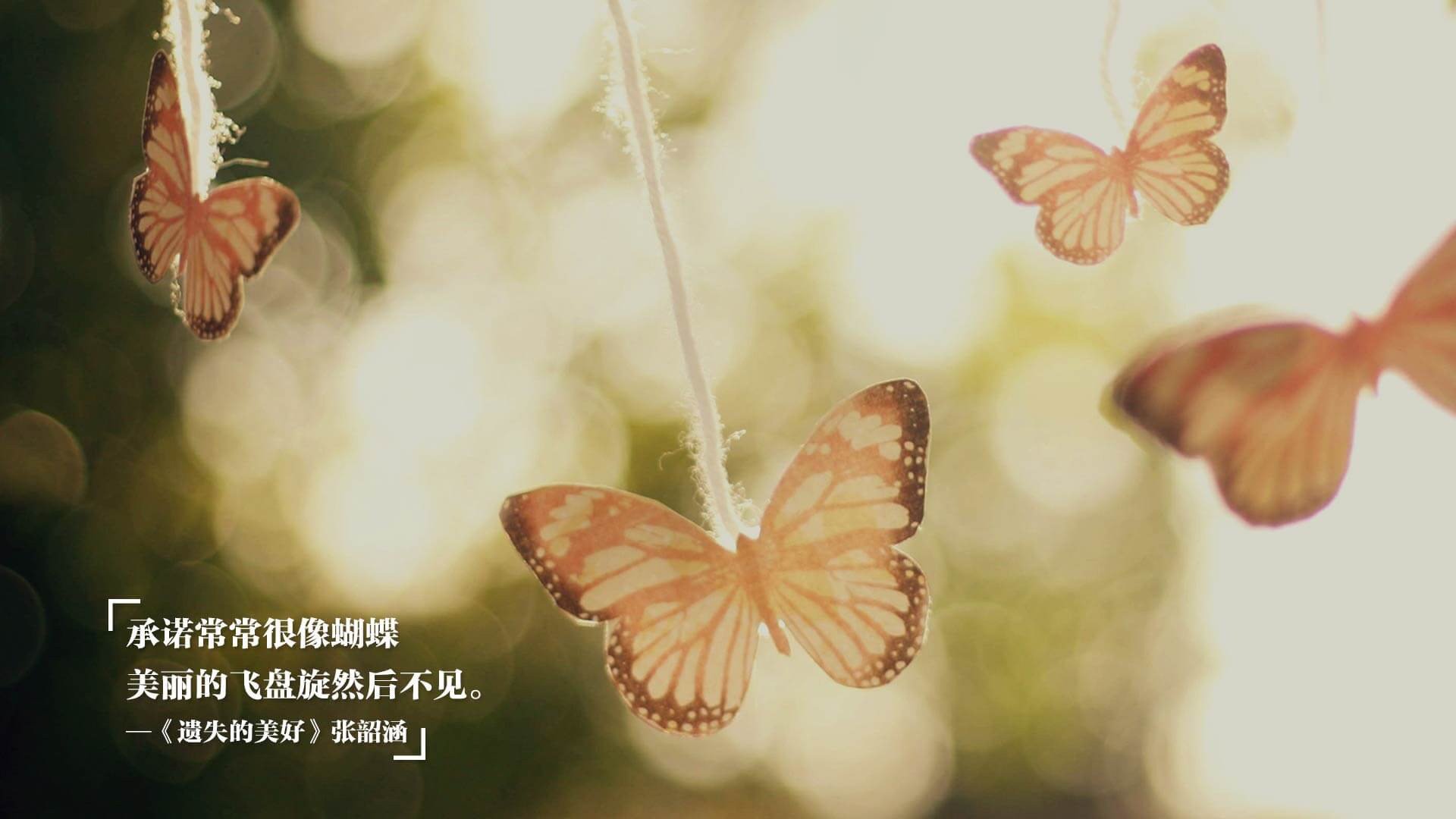 雷霆怒涛冲垮黄蜂，浓眉擎天主宰比赛走向