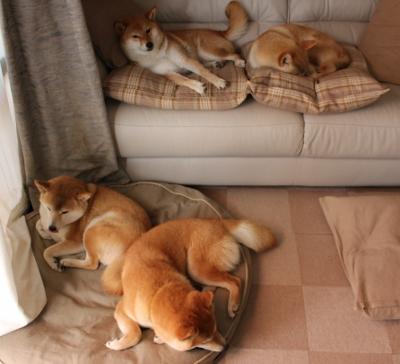 孙兴慜硬仗之王的传奇与乌拉圭击溃比利亚雷亚尔的足球启示