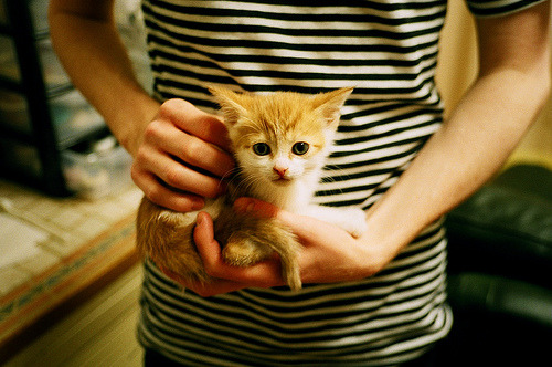 铁血防守定乾坤！辽宁猎鹕成功，小贾伦生死时刻显锋芒