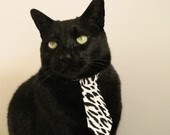 铁血深锁波士顿，独行侠之舞破长夜，论防守基因与巨星时刻的终极交响