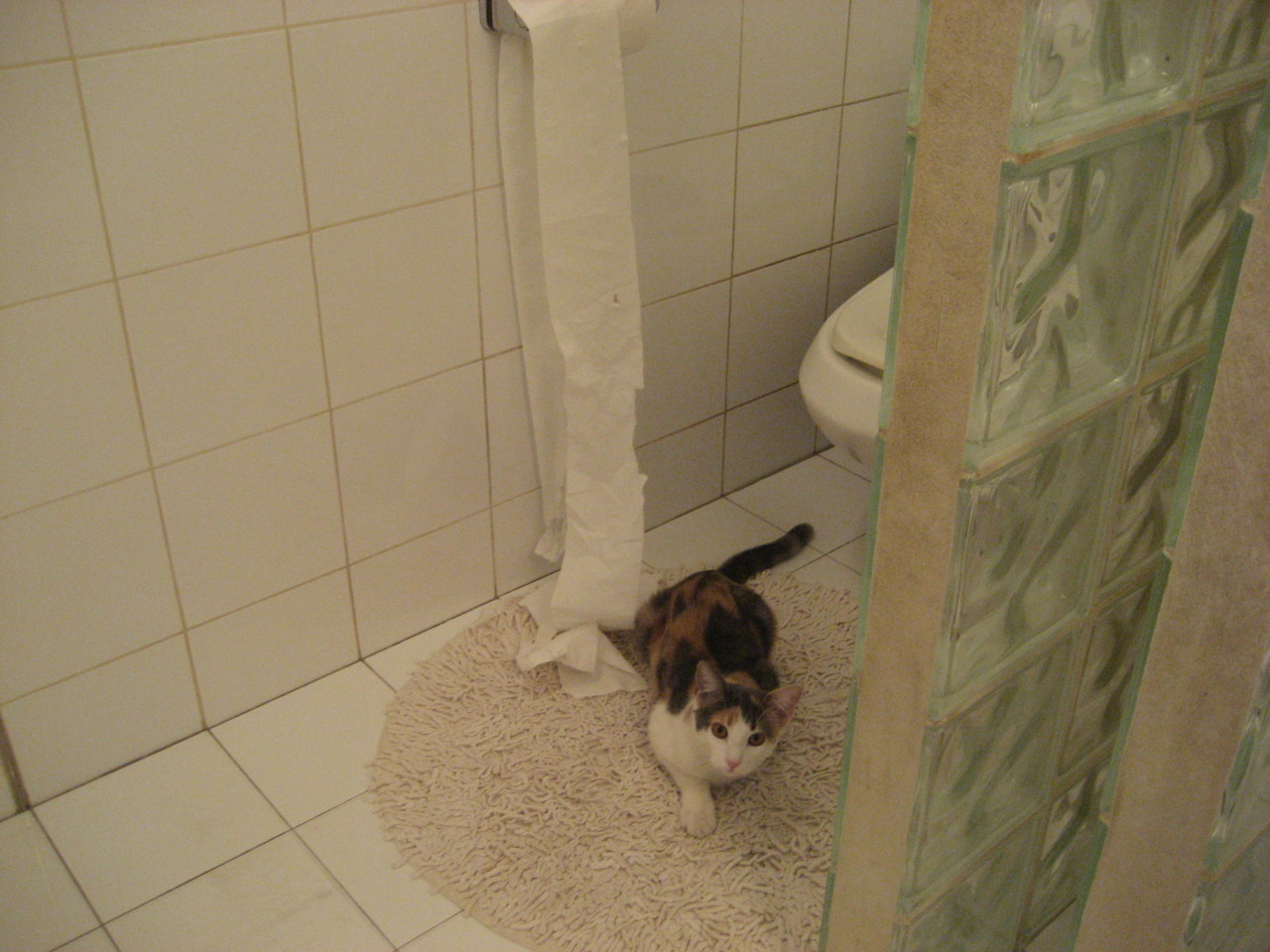 欧冠淘汰赛焦点战,勒沃库森横扫贝蒂斯,强势晋级